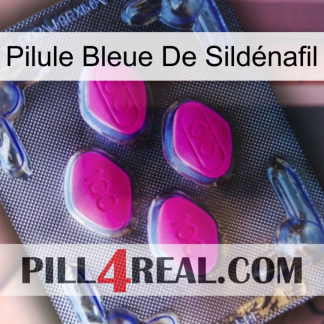 Pilule Bleue De Sildénafil 02